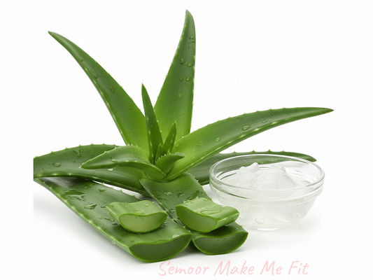 Fresh aloe vera plant - authentic Jamaican healing herb