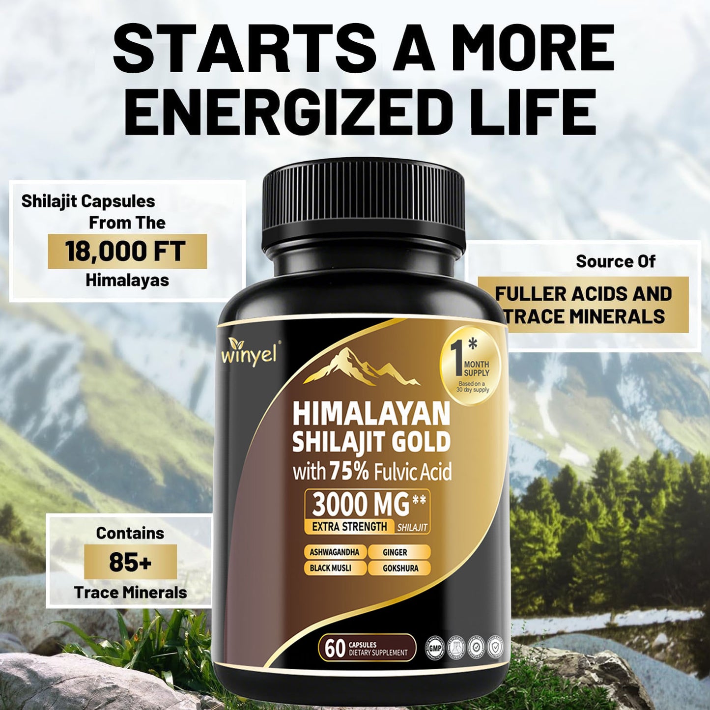 High Potency Gold Grade Himalayan Shilajit Supplements, 60 Capsules For Women And Men